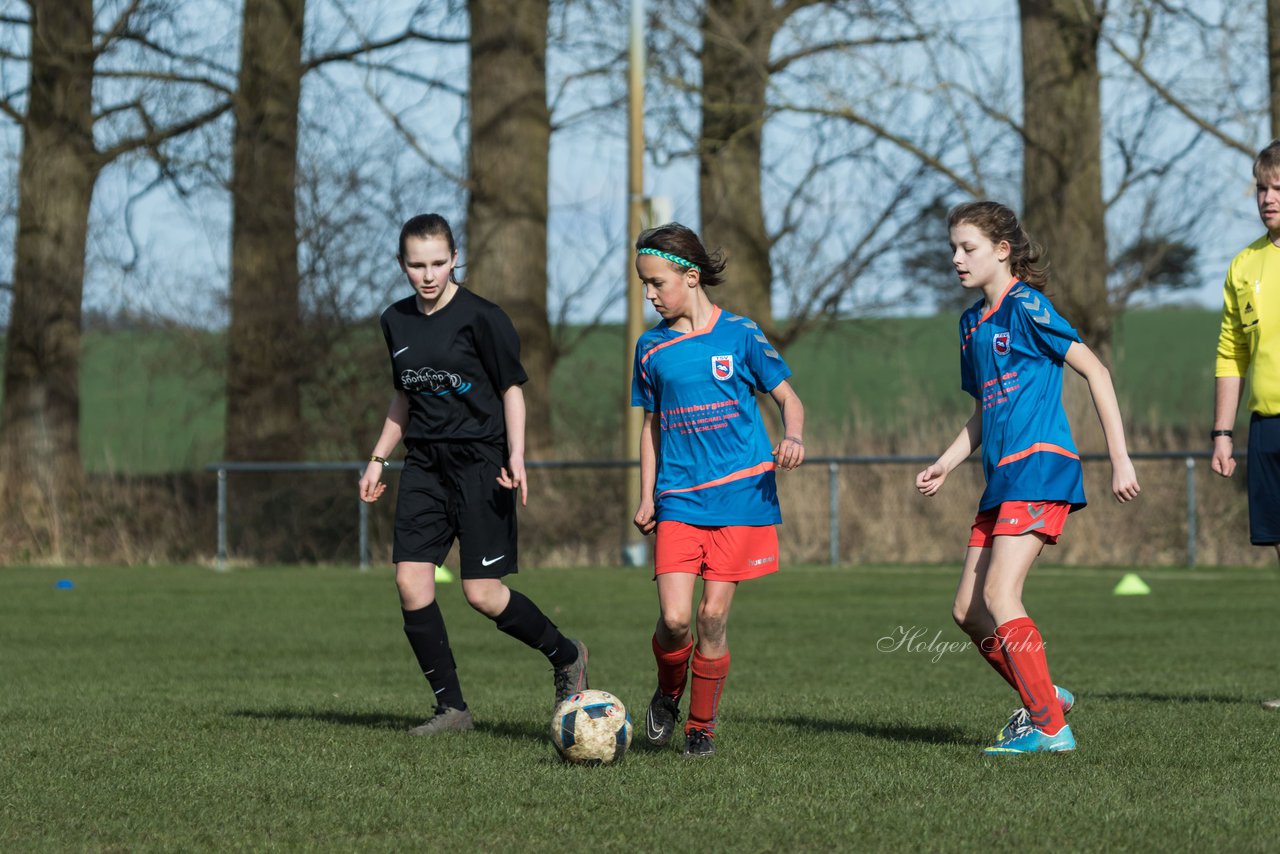 Bild 278 - C-Juniorinnen SV Steinhorst/Labenz - TSV Friedrichsberg-Busdorf : Ergebnis: 5:0